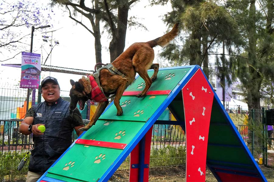 CLARA BRUGADA UTOPÍA MIXIUHCA_0016_SOBSE.jpg